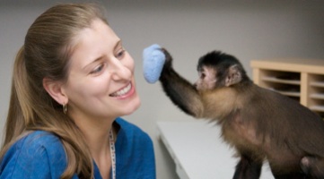 Os macaquinhos-capuchinhos são treinado para ajudar pessoas com paralisia e fazer, por elas, o que elas não conseguem em seu dia-a-dia (Foto: Monkey Helpers)